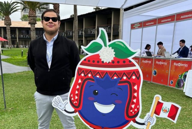 Blueberries Trujillo 2025